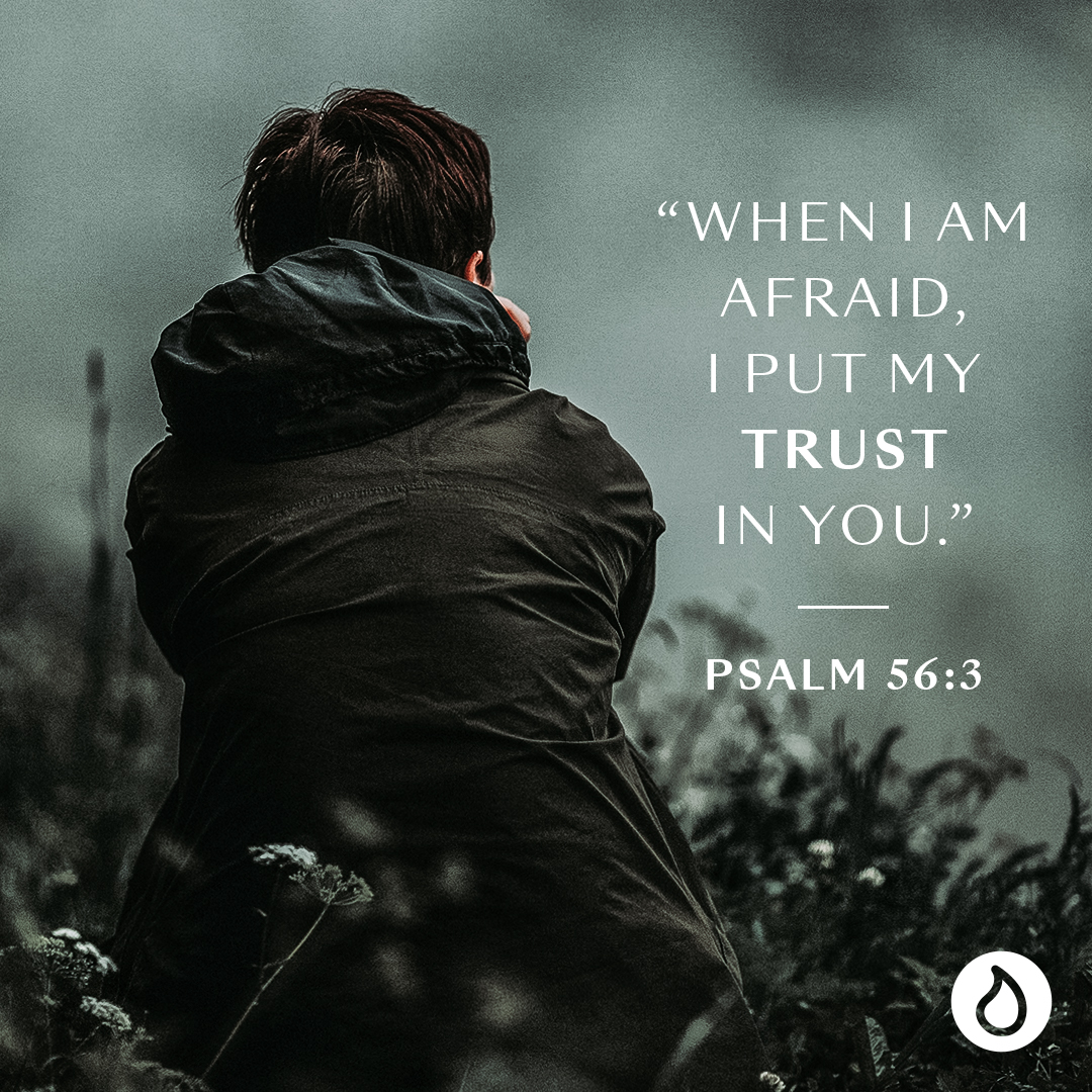 liquidchurch's tweet photo. Do you want God’s perfect peace in times of trouble? Then dwell in His presence. Draw close to Christ in prayer & let Him shelter you under His wings of protection today. #WednesdayWisdom #TruthIsRelevant #GraceWins #LiquidChurch https://t.co/ztuGchAFUO