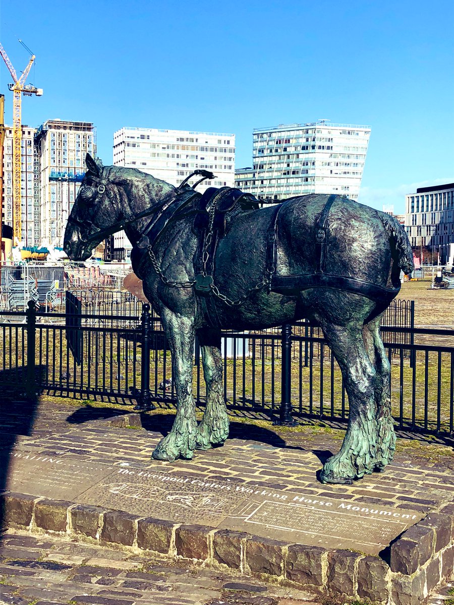 KateAlvanley's tweet image. A bit more life before #Covid_19 from my daily exercise #AlbertDock #PoolofLife #StayHomeSaveLives