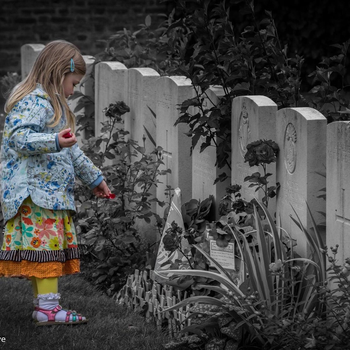 DannyDermaut's tweet photo. 3 years ago there was a little girl .... No words needed @CWGC #johncondon #age14 #ww1 https://t.co/XTVZCEMFsa