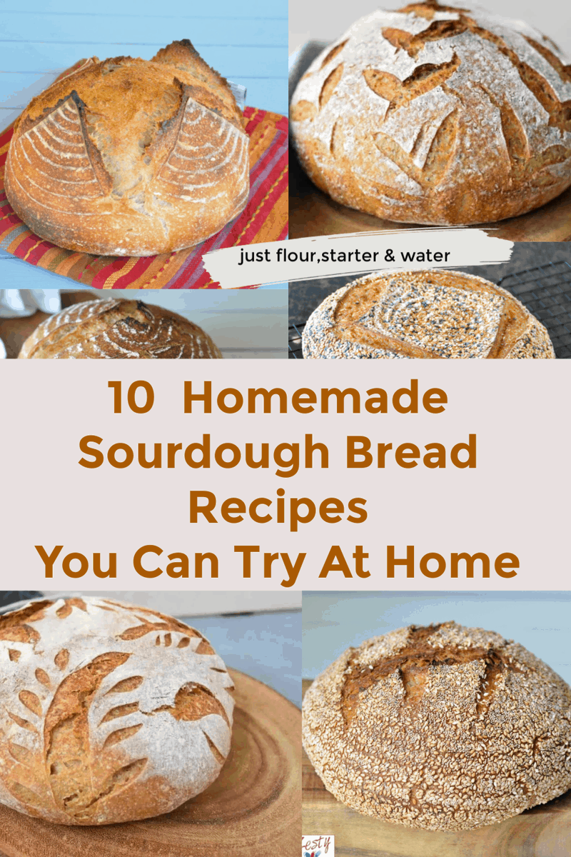zestysouthindia's tweet photo. “10 Easy Sourdough Bread Recipes To Try at home with just flour,active sourdough starter, flour, water and salt. If you want you can add sweetener .” https://t.co/llqgnpIxZo #sourdough #homemade #aritsanbread https://t.co/cak2Cv0QlK