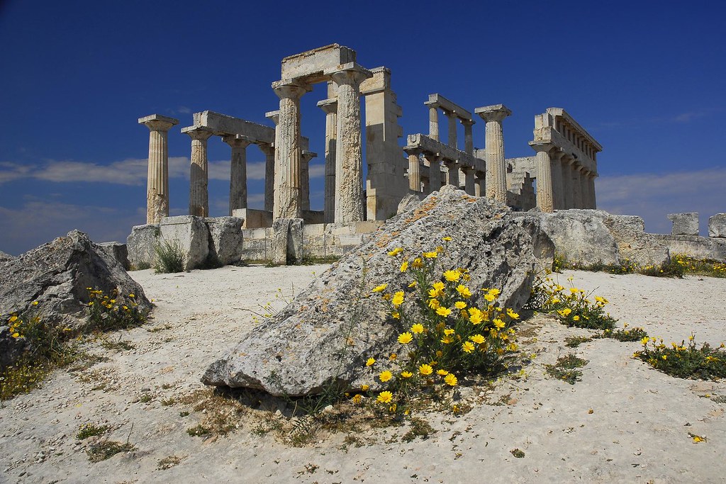 archaeologyart's tweet photo. Temple of Aphaea, #Aegina, #Greece. #Aphaea was a Greek goddess who was worshipped exclusively at this sanctuary. The extant temple of c. 500 BC was built over the remains of an earlier temple of c. 570 BC, which was destroyed by fire c. 510 BC. https://t.co/oZ0T2NxNoR