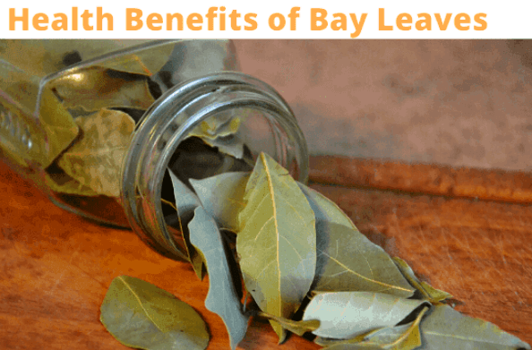 Sam Harvey tweet media