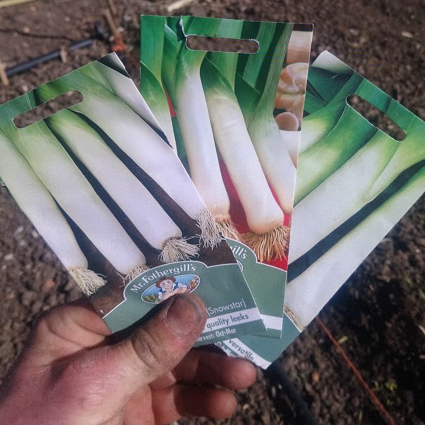 MattOliver87's tweet photo. Leek sowing time. Autumn Mammoth, Lyon and old favourite Musselburgh. I always sow mine direct then lift and dib out later. Can't be faffing about with seeds trays, compost and potting on for crops that don't really need it #allotment #GrowYourOwn #GYO https://t.co/Vj7XV0j2tl