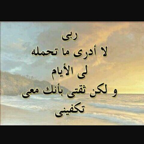 Rose40566736's tweet photo. #NewProfilePic https://t.co/Rvl8YXGGku