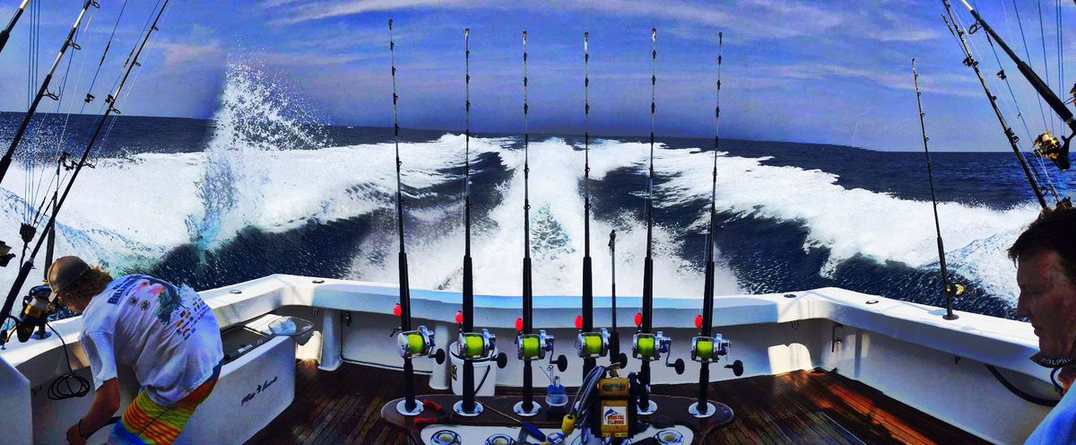 The view from a boat will never get old #HappyMonday 

<a href="/RealSaltLife/">Salt Life</a> <a href="/feel_reel/">FISH 🐠 ING</a> <a href="/TheBoatCapt/">TheBoatCapt</a> @OnTargetFishing <a href="/WassmannBill/">Wild Bill Wassmann</a> <a href="/CanuckBassin/">CANUCK BASSIN</a> <a href="/burnside4141/">Mike Burnside</a> <a href="/girlskickinbass/">Girls Kickin Bass</a> @PShenep <a href="/Lennert_FL13/">Lennert</a> <a href="/Bearman1130/">Barry James</a> <a href="/KidsThatFish/">KidsFishinNation</a> <a href="/SGumpa/">Sudheer Gumpa</a> <a href="/JenniPrickett/">Jenni 🐟🎣</a> <a href="/Yak4lifeJenMues/">Jen Mues</a> <a href="/SaltwaterExp/">Saltwater Experience</a>