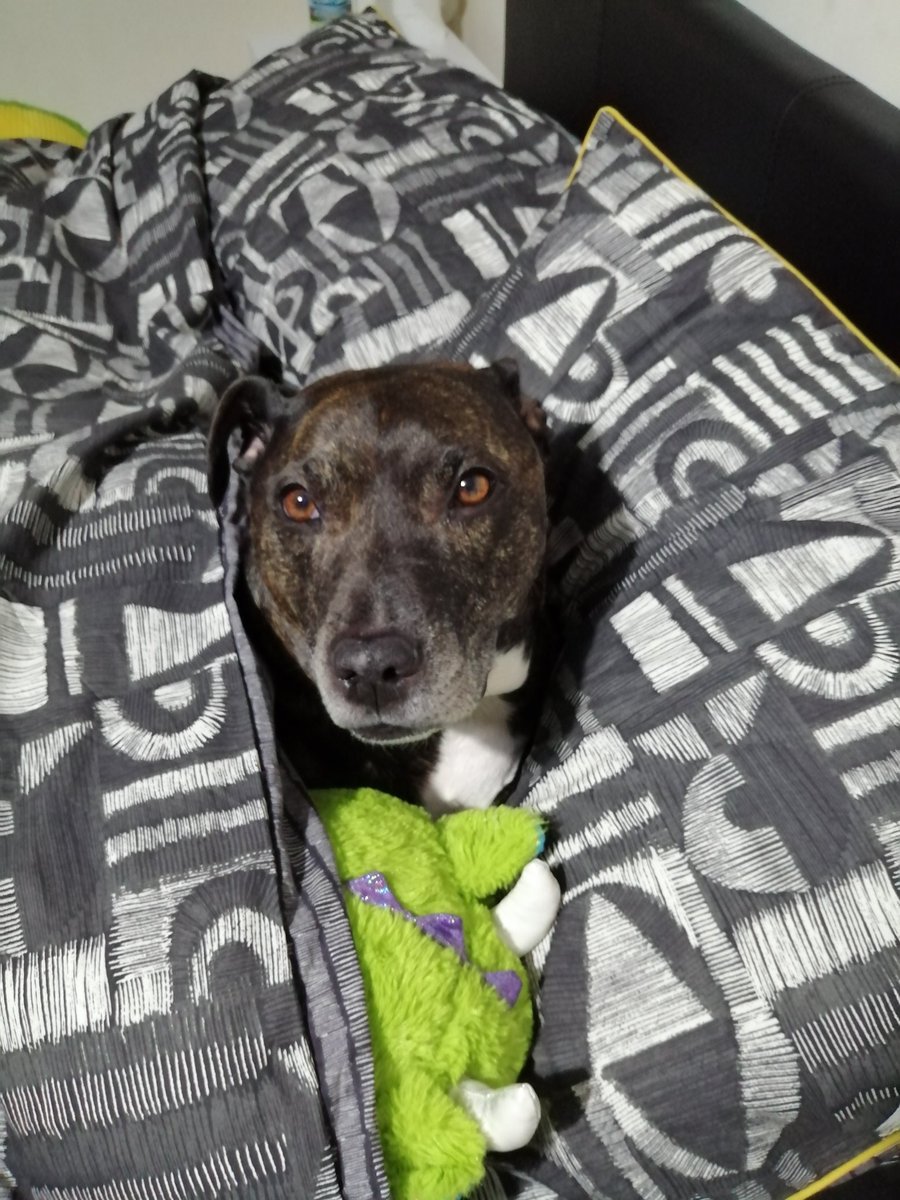 HarleyStaffy's tweet photo. Mmm wat doing?? https://t.co/UwpG3chN1D