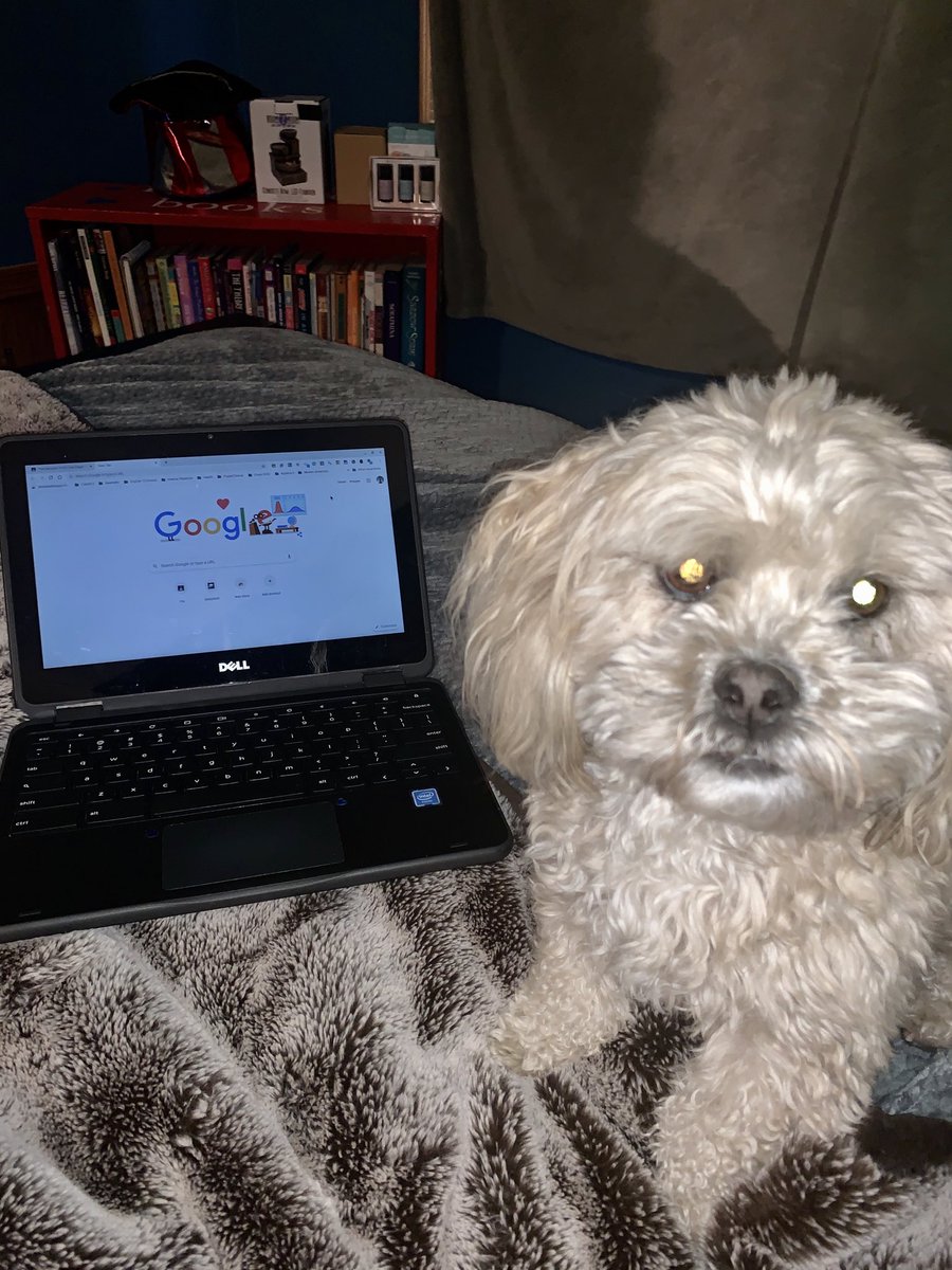 nataliehenne1's tweet image. Remote Learning with Teddy!❤️ ⁦@SCNStuCo⁩ #scnspirit