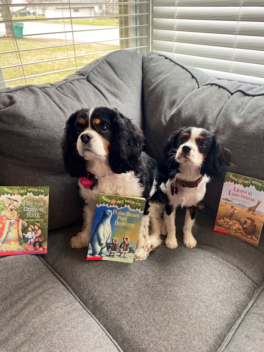 ChelLynnStad's tweet photo. Even my two new students like Magic Tree House books! #ByronBears #VirtualSpiritWeek @ByronBears https://t.co/IvO27w95Ty