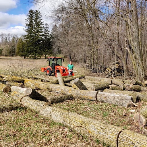 InsideGeotab's tweet photo. Do you need weekend activity inspiration? Check out the creative ways our #Geotabbers are spending their weekends! ⬇️ Building a garage hockey rink, taking a scenic walk, cutting down dead trees and...live streaming their wedding💍 #GeotabLife #workhardplayhard #GeotabGOesRemote https://t.co/OPs3LD08rR