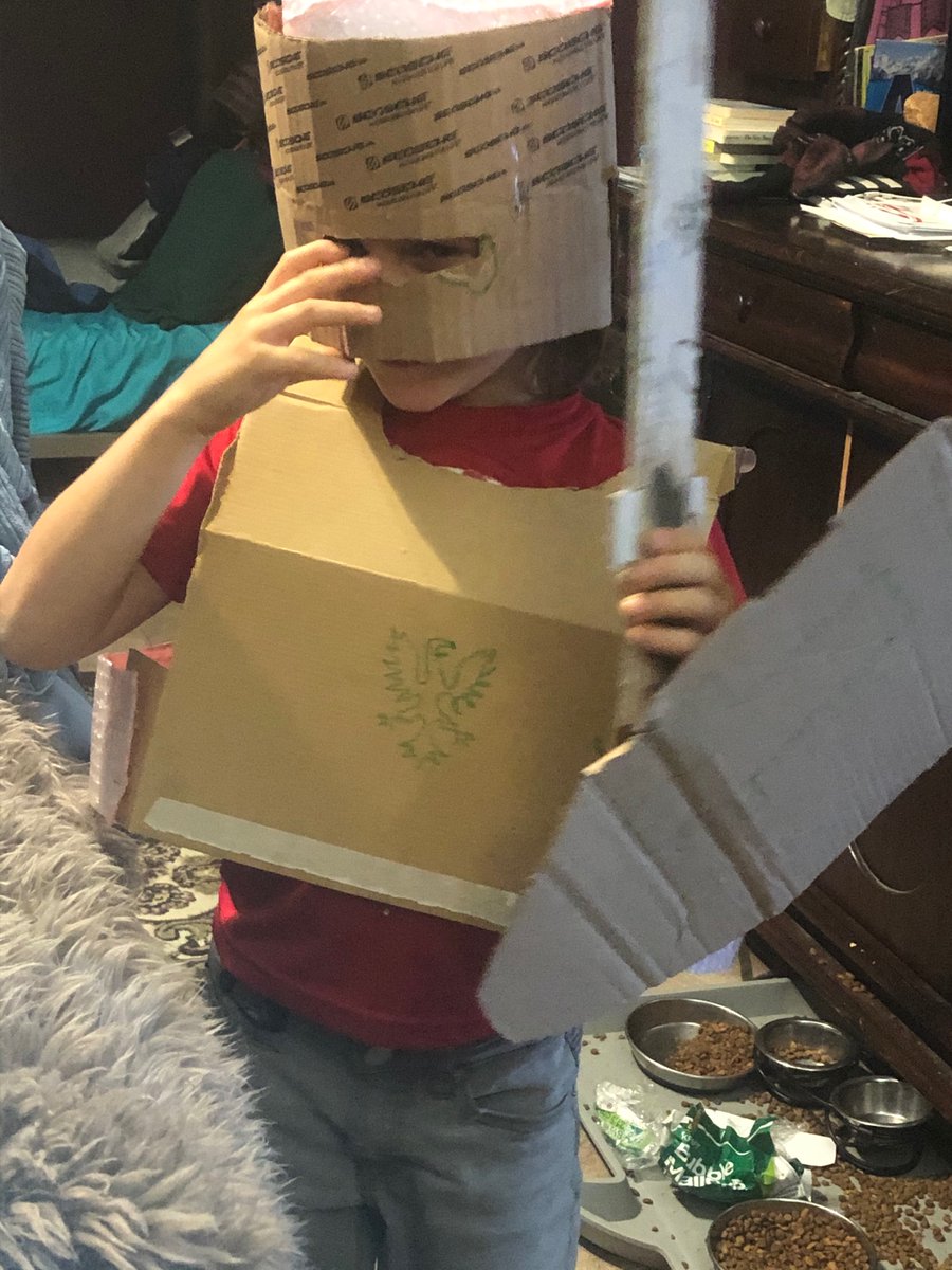melissa_marr's tweet photo. So we watched a βhow armor is madeβ documentary. There was forging, jousting, etc. And then my eldest and my youngest constructed armour. #homeschooling #quarantinelife #medieval #diyarmor https://t.co/JGFXej8VYJ