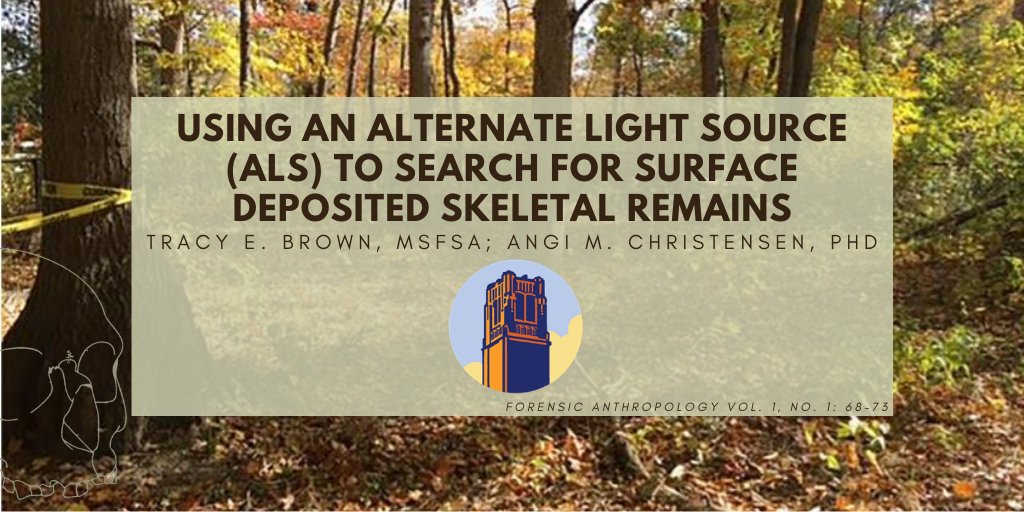 JForensicAnth's tweet photo. Read Brown & Christensen's recommendation for supplementing traditional line searches with an ALS search when possible to increase the quantity of skeletal remains located. #forensicanthropology #forensicarchaeology #ALS #alternatelightsource #surfacescatter https://t.co/dvaxJSp9I3