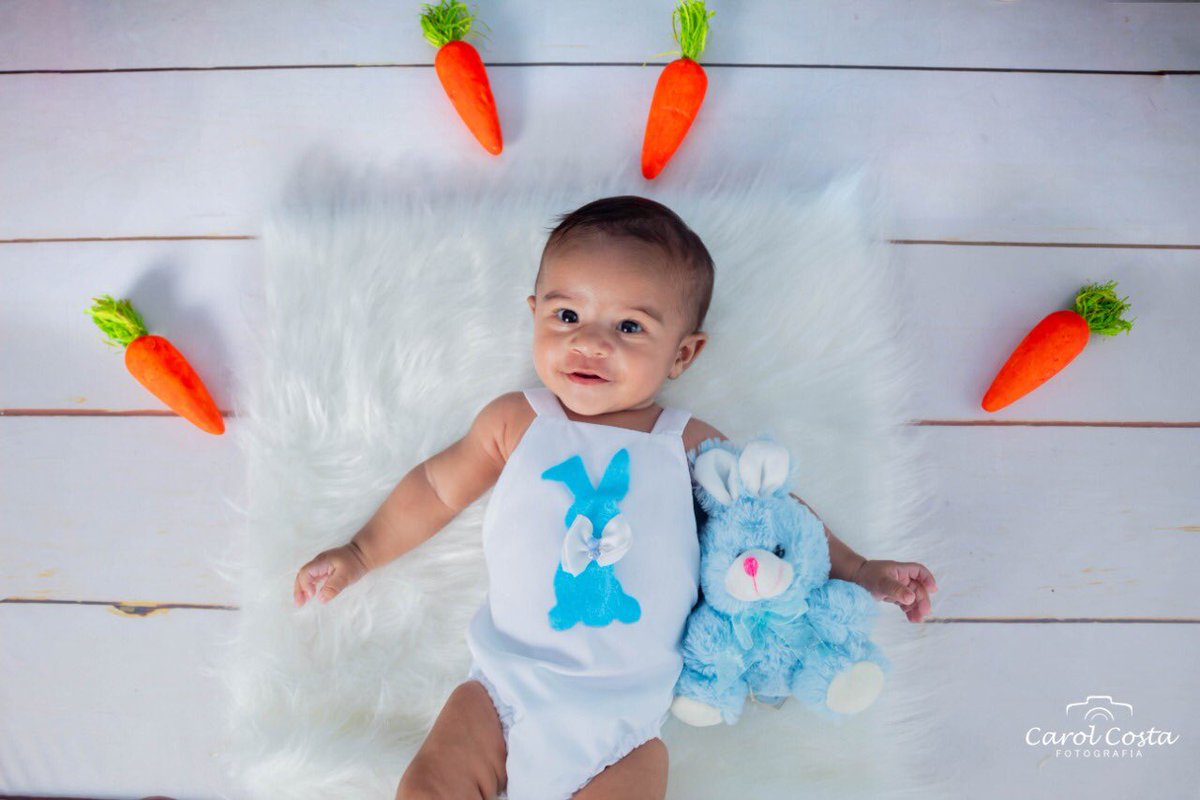 Nara2Santos's tweet photo. É impossível não se apaixonar por esse coelhinho 😍💙 https://t.co/6mZ8S2R2Oi
