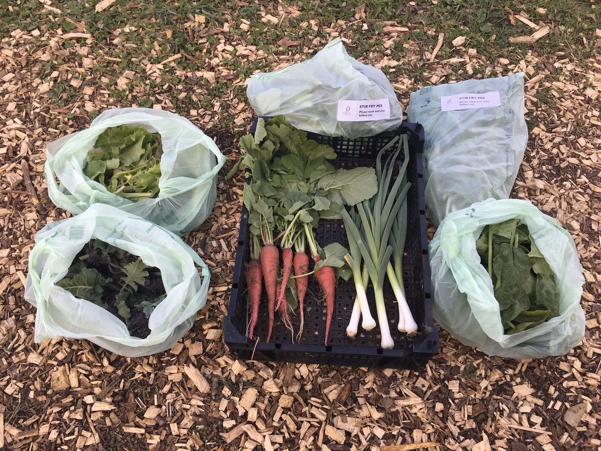 The Oak Tree tweet media