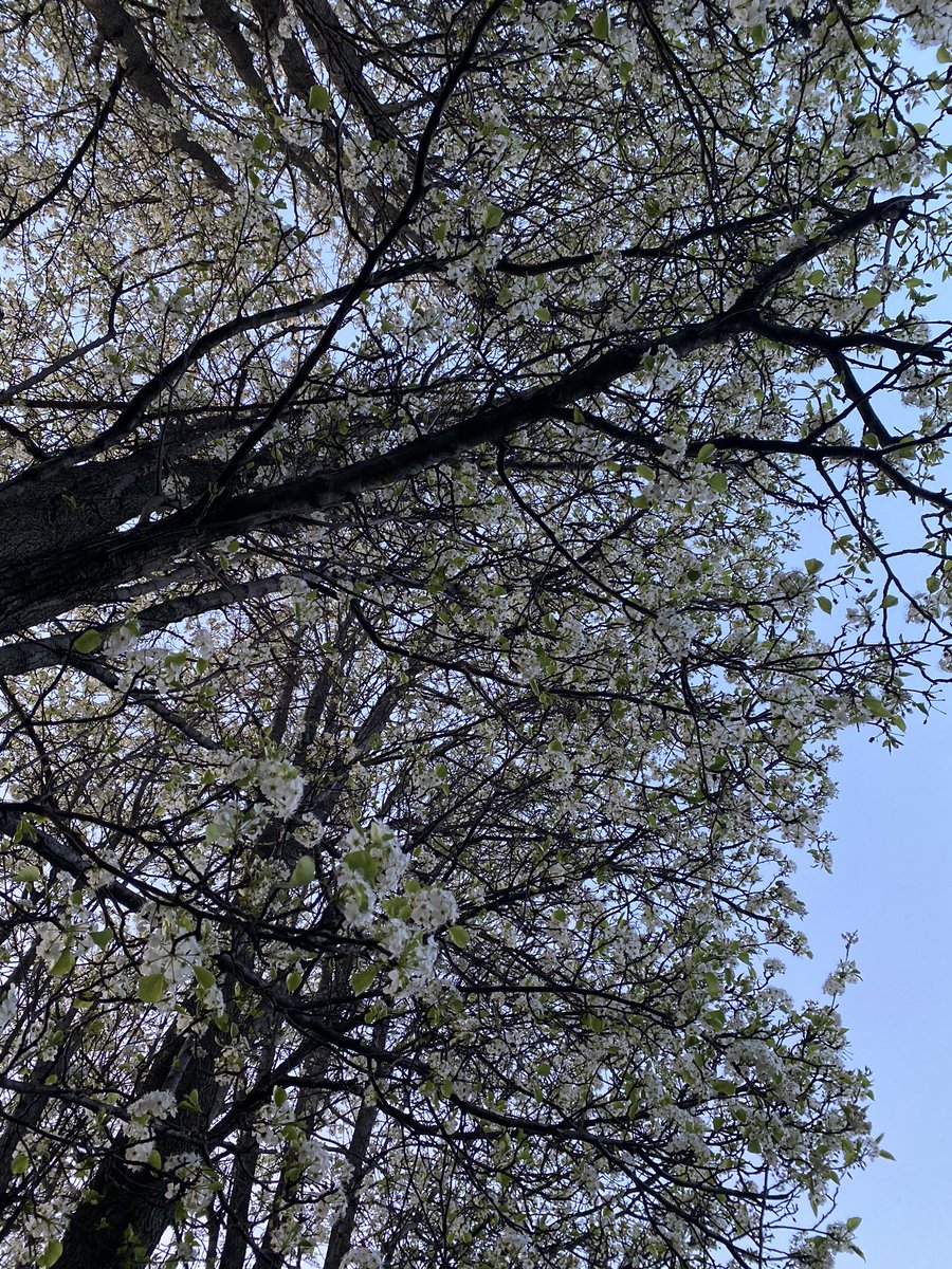 Alexandra Morris tweet media