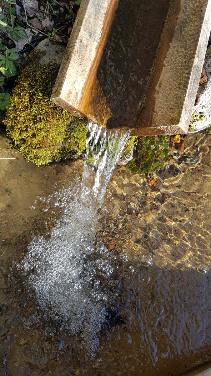 bergochdalvana's tweet image. Gotta love that gluuuten. Double batch rye and wheat #sourdough on natural subglacial spring water fetched at my local well in the forest. It doesn't get any better than this. #wildculture #sweden