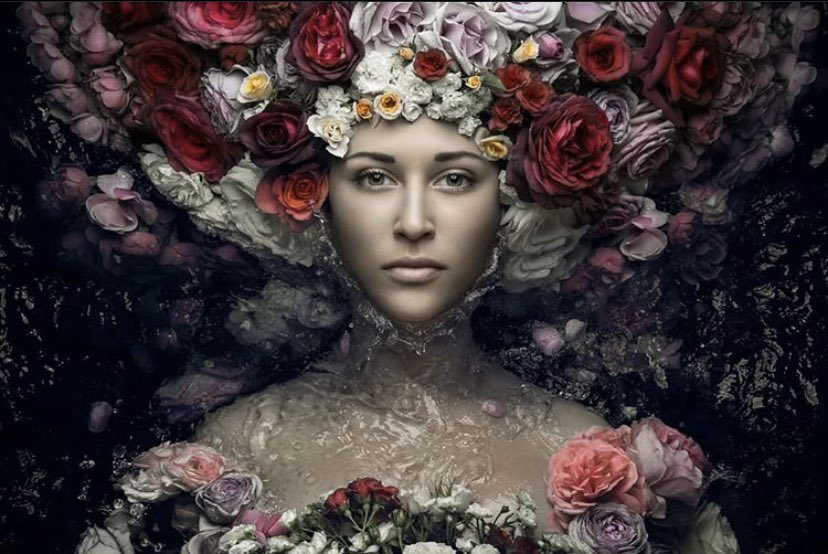 WestcottCo's tweet photo. Dazzling beauty shots by photographer Evgeni Kolesnik captured with the #FJ400 modified by a #RapidBox Switch Octa-L.

Thank you for tagging us, Evgeni!
Learn more at https://t.co/GC7JLdxgi1 🌸

#beautyphotography #eosr https://t.co/T9Q7OtJXGH