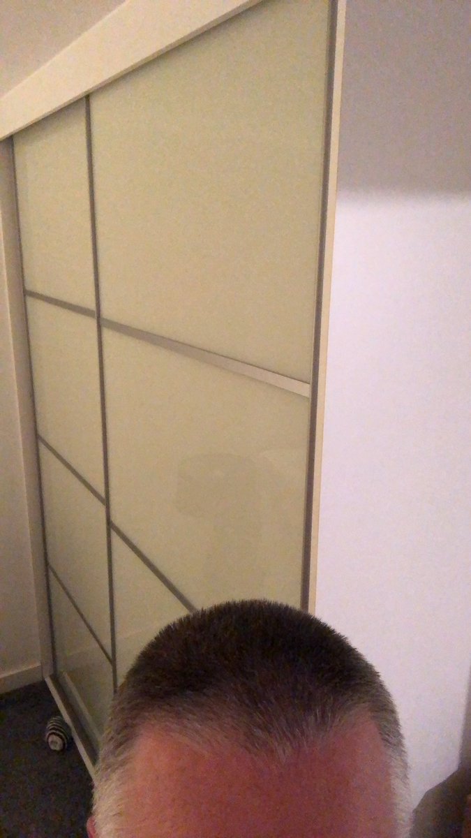 One more week of lockdown and instead of Rate My Plate it’ll be Rate My DIY Haircut #RateMyPlate #RateMyDIYHaircut #UKlockdown #tennisballhead