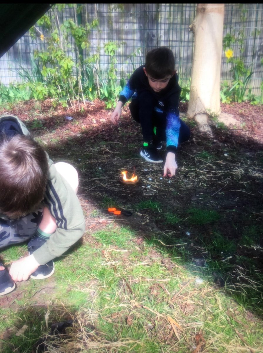 BillinghamSth's tweet photo. A fantastic day of forest schools in the school garden @ScoutedSam https://t.co/TLzmqPE08S