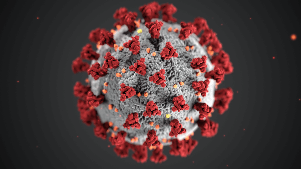 bhderm's tweet photo. Coronavirus and Ibuprofen https://t.co/ZYQFFJCM9G https://t.co/0ebpnjZcRJ