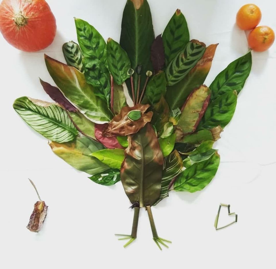 Compostons tweet media