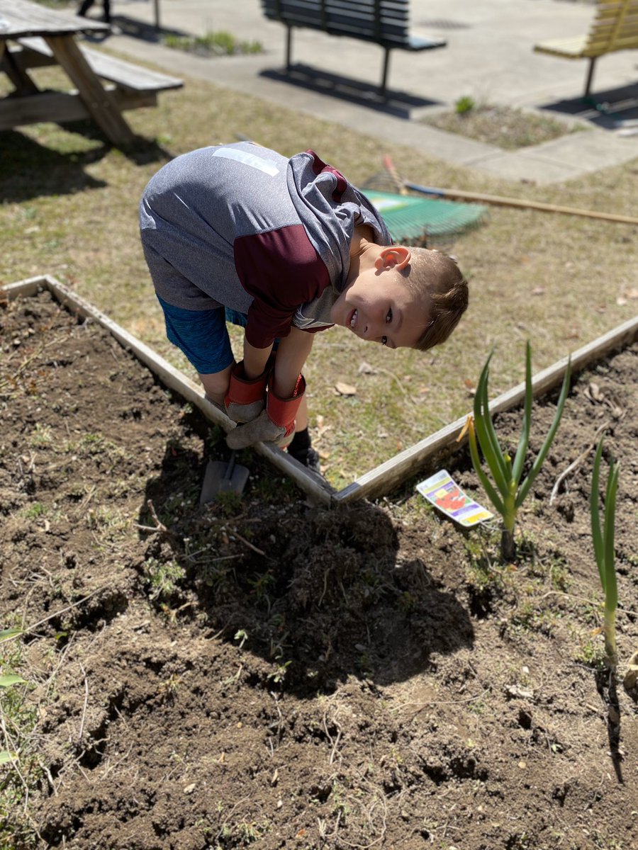 emard_a's tweet photo. Couldn’t be with the second graders to do garden club, so I have enlisted the help of my own children to keep the Hoyle gardens healthy while we are gone. Any other Hoyle friends learning some gardening tips with families at home? #LearningNeverStops #gardenclub @HoyleSchool https://t.co/Cq1nAMXvma