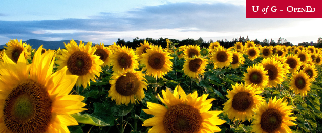 GuelphHort's tweet photo. We know it's difficult to make academic decisions in these circumstances. That's why we are extending the early bird deadline for horticulture studies and giving you more time to make a financial decision. The new deadline is April 18 at 11:59 p.m. EST. https://t.co/hAVsUqRrOD https://t.co/3qNUQSp5cQ