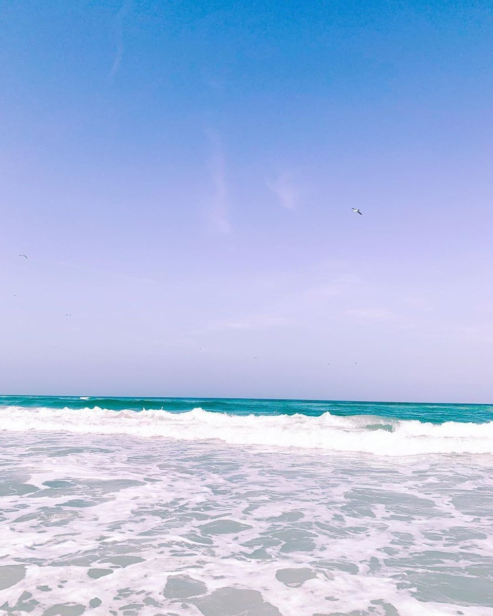 acolorstoryapp's tweet image. 🌊💜 Edited with Sugar Pill from #CandyMinimal + custom adjustments by @saltspell ✨ #AColorStory