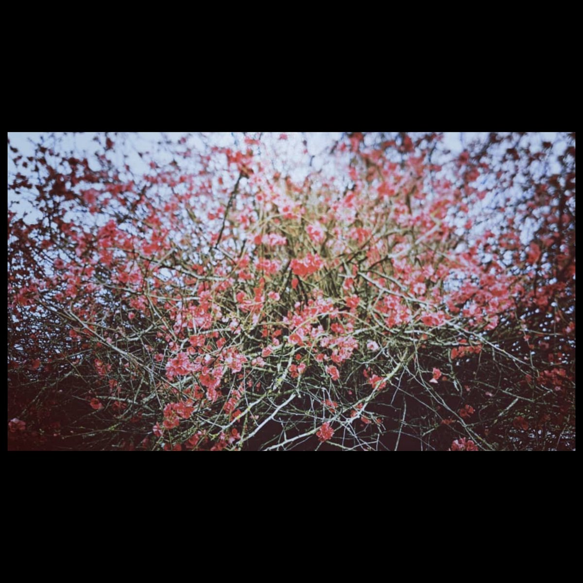 bea_henri's tweet photo. Un autre printemps © Béa Henri
https://t.co/UNXBidG8Tm https://t.co/ybF5GG8oWc