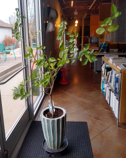 studiotrope tweet media