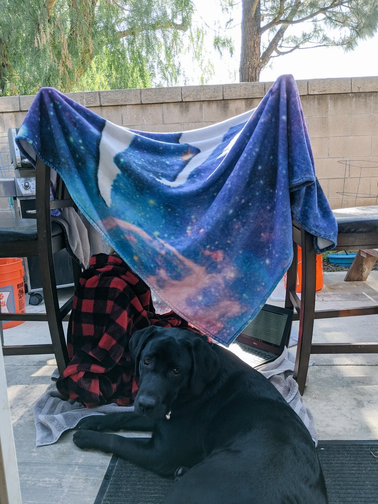 Athompson37's tweet image. Distance learning gives flex seating a whole new name.  We've learned in forts, at the kitchen table, in the backyard and now on a warm comfy bed on a cold rainy day.  @MrKooymanEIS @EtiwandaSD