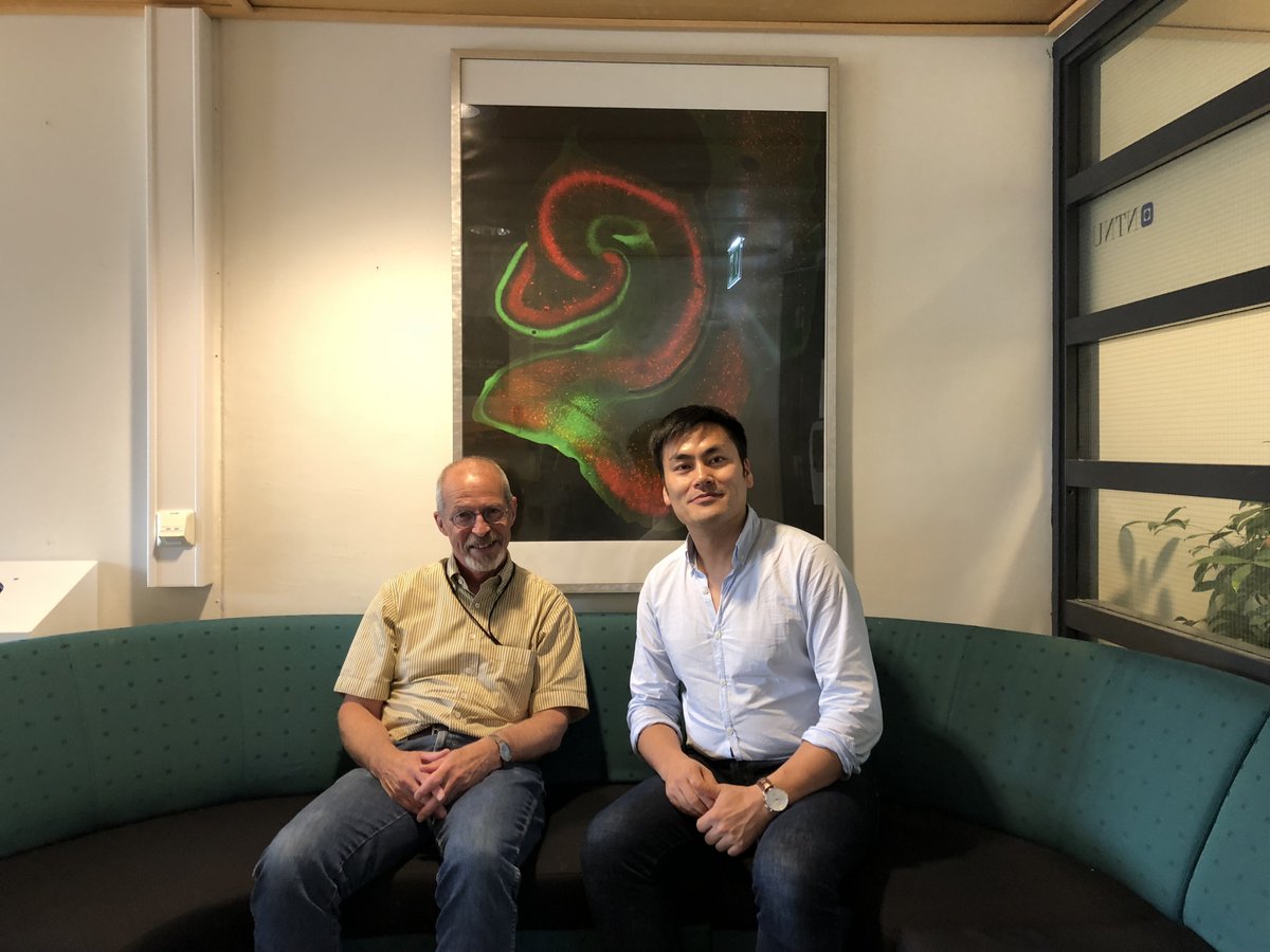 NoAge100's tweet photo. We are pleased to announce the opening of the Norwegian National Network on Alzheimer´s disease (NO-AD) with  website: https://t.co/P6YkGD8xaC . Profs. Evandro F. Fang  and Menno P. Wittter are leading this network with Mr. Ruben Gudmundsrud as secretary. Thanks @Nf_folkehelsen https://t.co/MsHhMtatvj