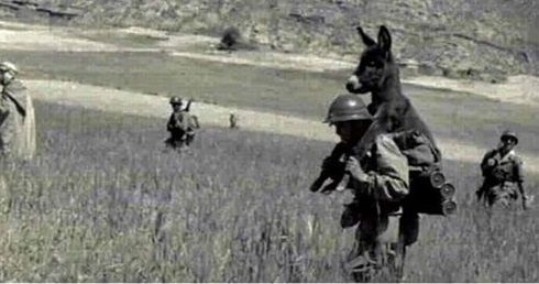 Governor Phil Murphy tweet media