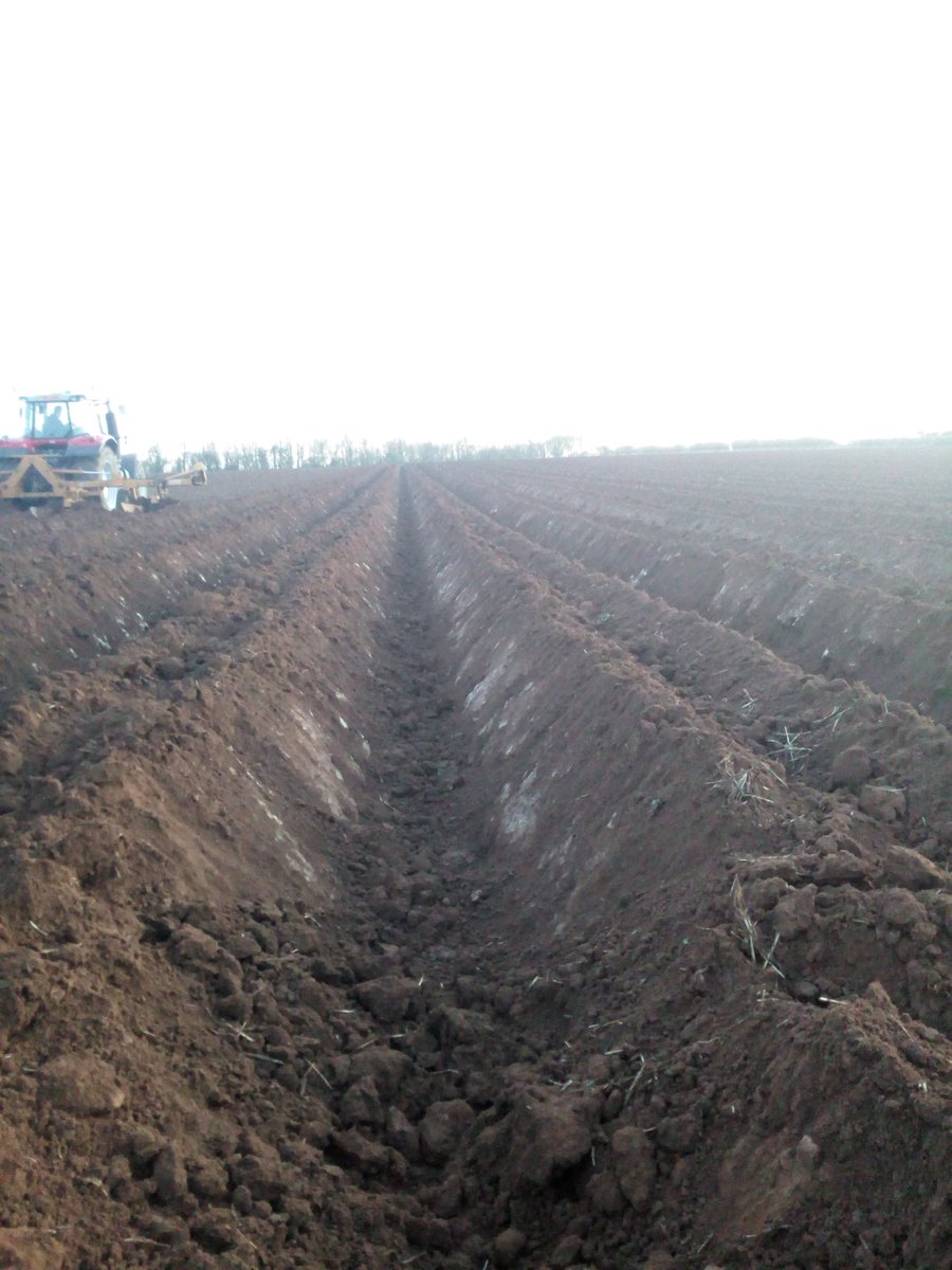 SpudSlingsby's tweet photo. @Jamesspick Rookie ridger man got his head round the job, destoner, planter & forklift primed ready for off in the morning. 5mm rain today done more good than harm. #wereoff https://t.co/gl8KYXrJed