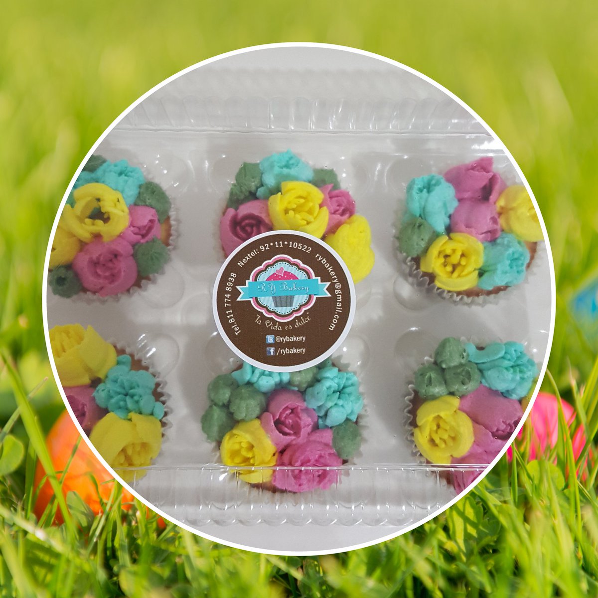 RYBakery's tweet photo. Kit de 6 cupcakes decorados para disfrutar en familia. #RYBakery #CupcakesDeVainilla #Cupcakes #Vainilla https://t.co/llBXNTLXfd