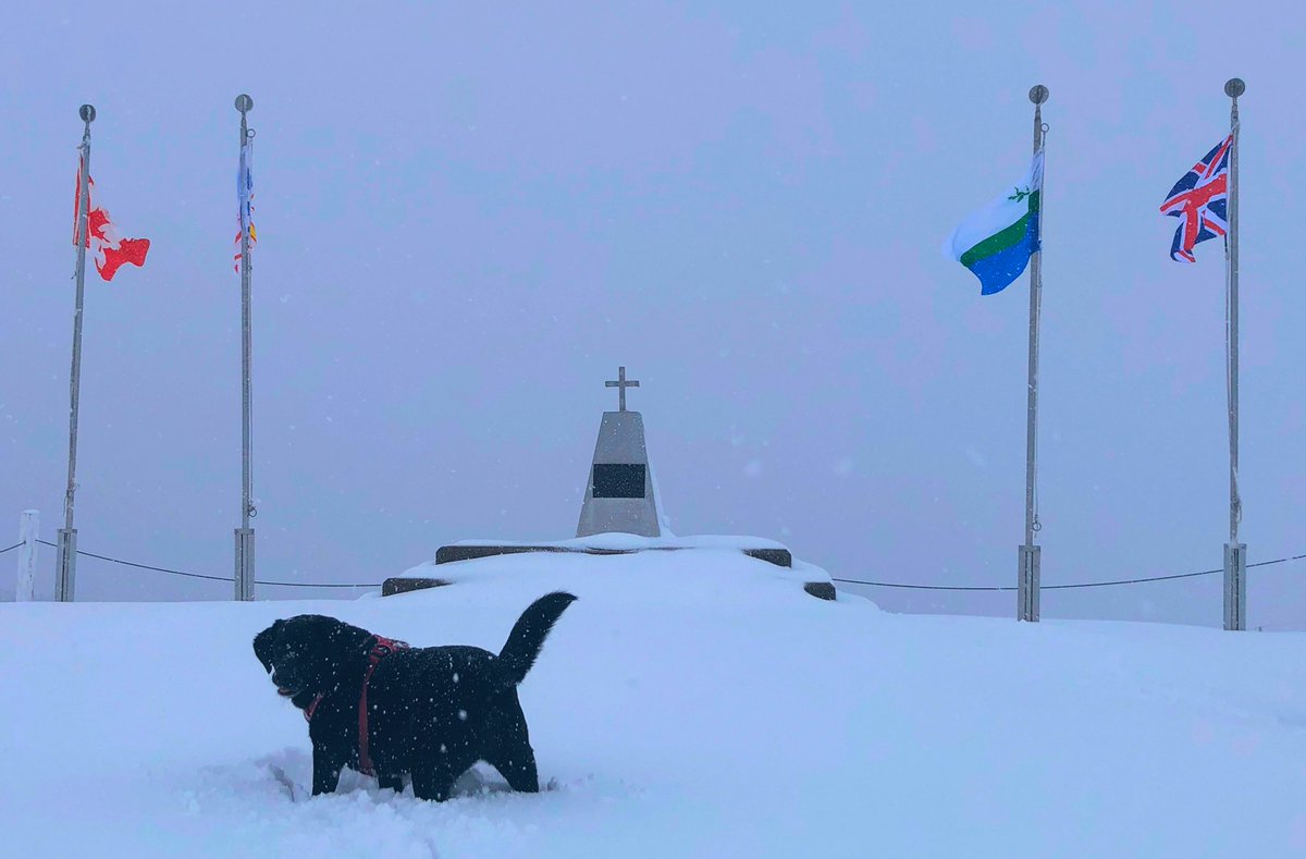 terrabarney's tweet photo. Our grandfathers & great grandfathers left their family, their homes and their country to protect us! The least we can do is stay home & social distance ourselves to protect us! #labradorstraits #warmemorial #snowyday #socialdistancing #stayhome https://t.co/P25TWk4EAi