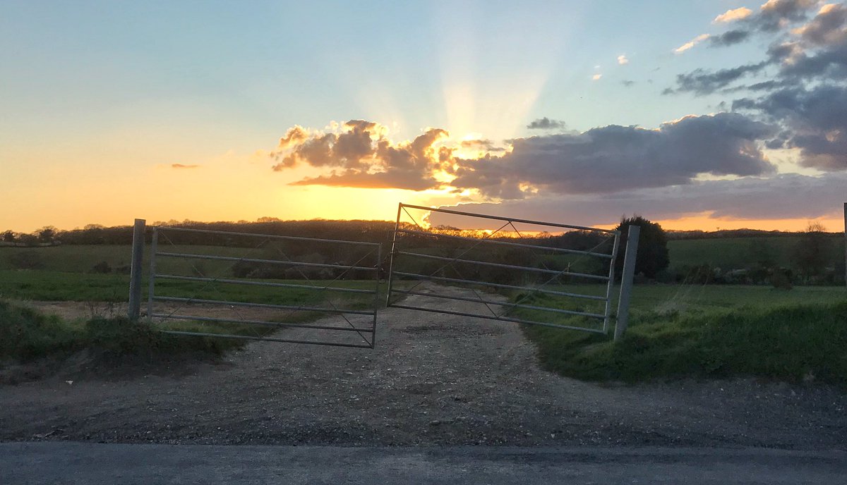 Stevenage Food Bank tweet media