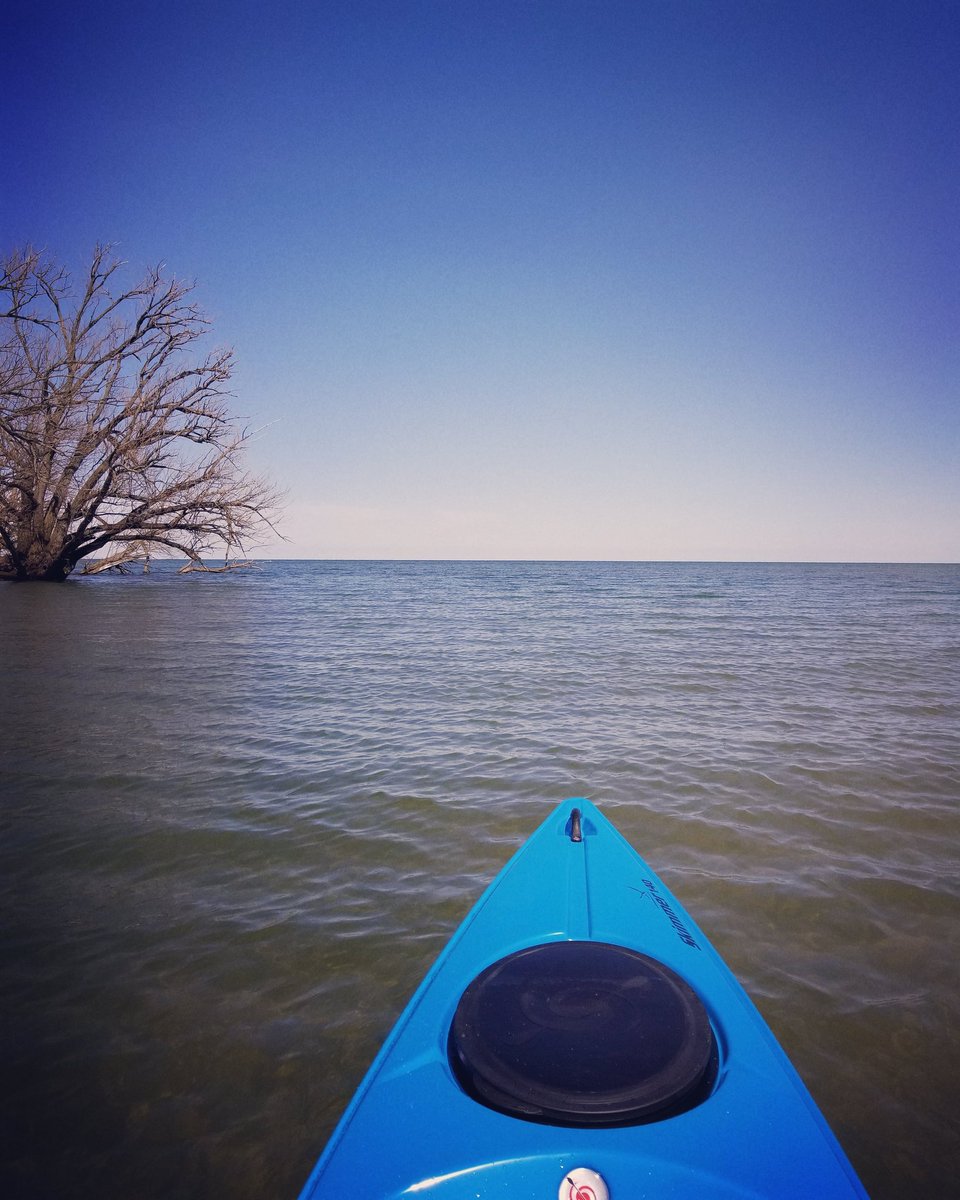 Efs130Byer's tweet photo. Social Distancing: Day 24. #kayaking #kayak #braddockbay #lakeontario #highriskcovid19 #curearthritis #motionislotion https://t.co/6ja5g7rzGj