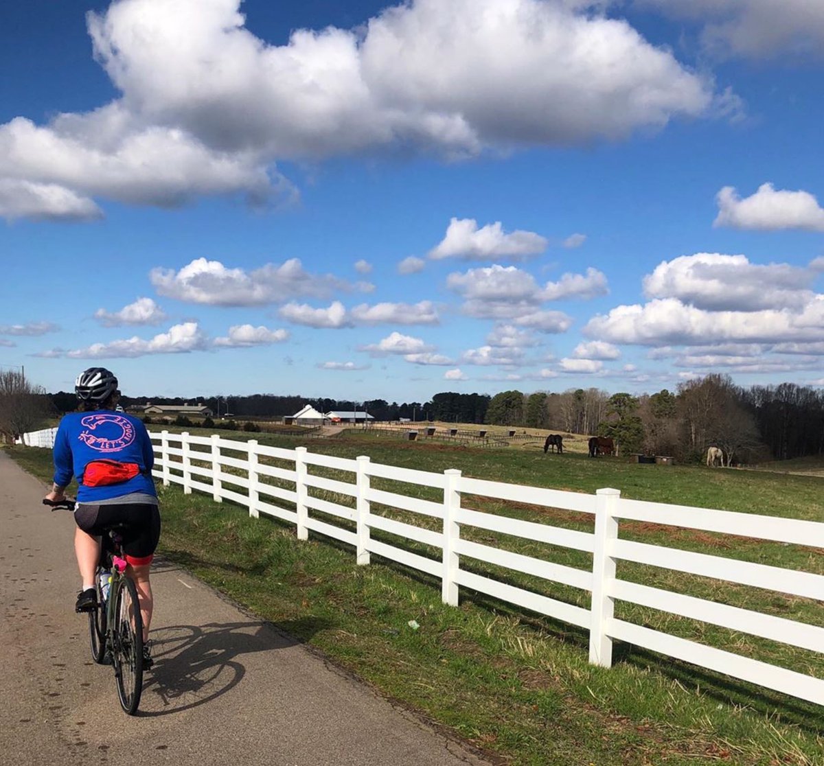 RGreenwayApp's tweet photo. Bikes before likes @raleighparks @visitraleigh #ReedyCreekTrail #Raleighgreenspace 

https://t.co/CxuYEeICsf https://t.co/2tyjeYah4A