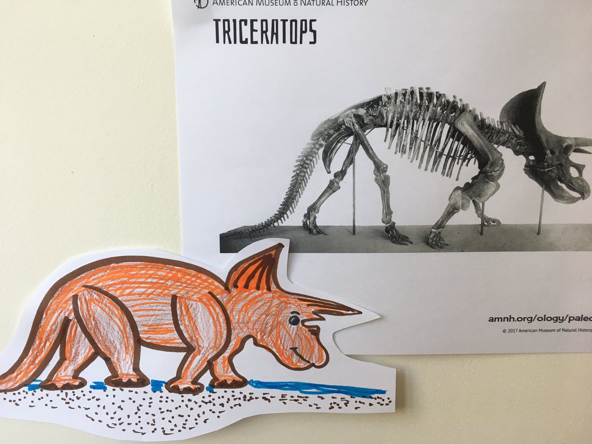 maurythinktank's tweet photo. Here are some dino drawings to get you started this week. Remember to start with the bones, give the bones a body, and then add scaly skin or maybe even feathers. Finish your drawing with a prehistoric environment. https://t.co/WBtrZKds9e
