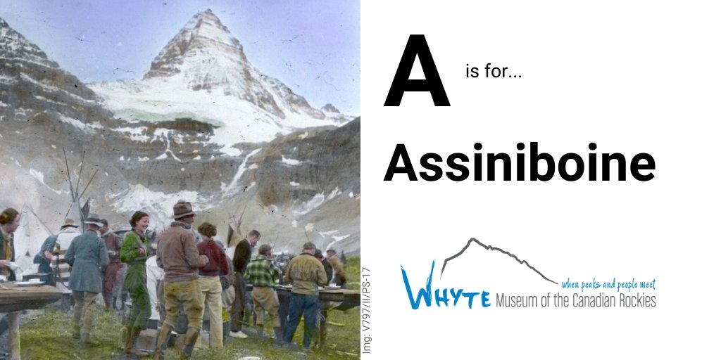 whytemuseum's tweet photo. We may be a little behind on the #MuseumAlphabet train but here we go anyways! A is for Assiniboine. Standing at 3,618 m (11,870 ft.) Assiniboine is truly an iconic Canadian Rocky mountain. 

Img: [1937, Assiniboine], WMCR, (V797/II/PS-17)

#MuseumsFromHome #WhyteAtHome https://t.co/eUK4LGZlLh