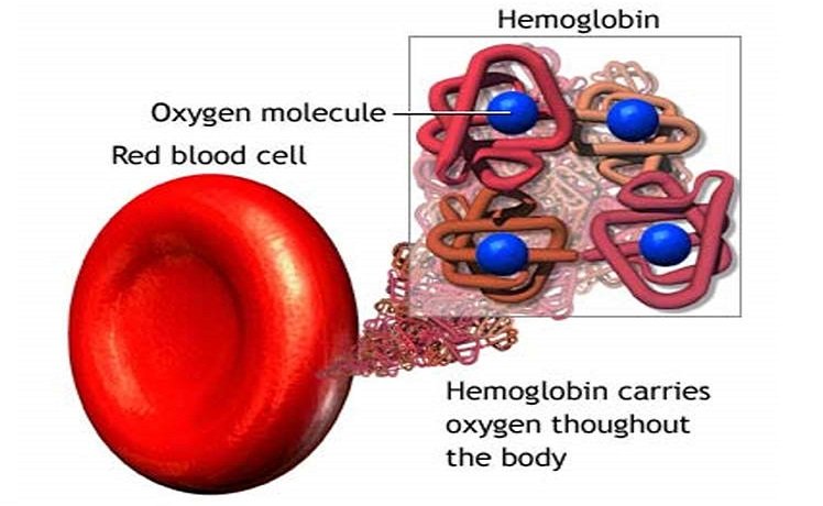 atACKbACK's tweet photo. The Medical Community is operating under a #FalseParadigm
#FakeNewsMedia is promoting that #Paradigm
Our #InvisibleEnemy isn't JUST #COVID19
#ThankQ
@realDonaldTrump
#PrescribeHydroxyChloroquine
Watch this Video
Corroboration from #NYC ICU Doctor
https://t.co/Zy9p75BzCj https://t.co/TkR6lkk6XG