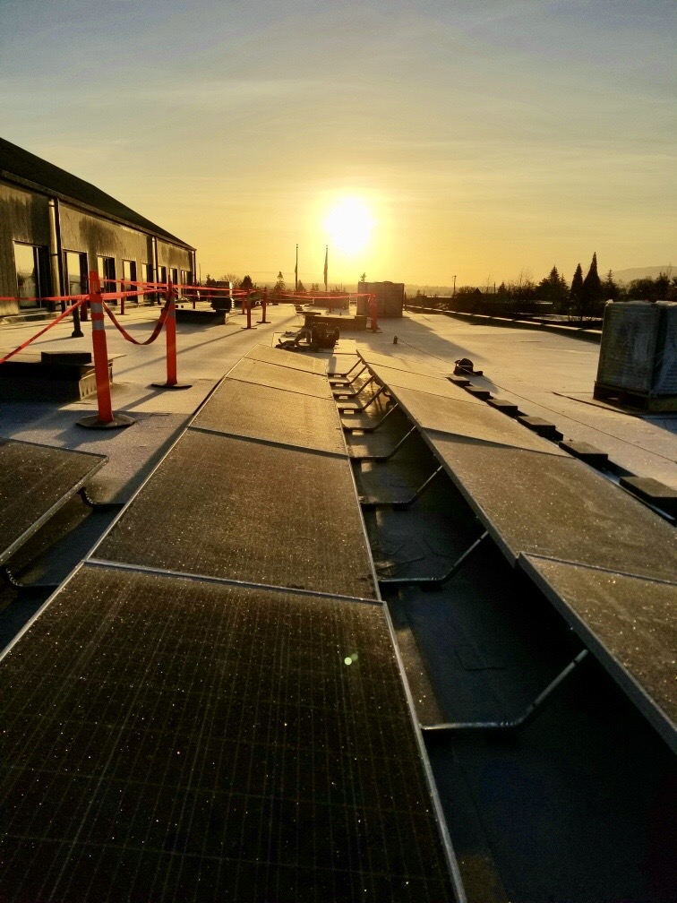PugetSoundSolar's tweet image. Sunrise In Sunny Sequim pugetsoundsolar.com/solar-energy-s… #SunnySequim #SolarEdge #SilfabSolar #PanelClaw #SolarWinning