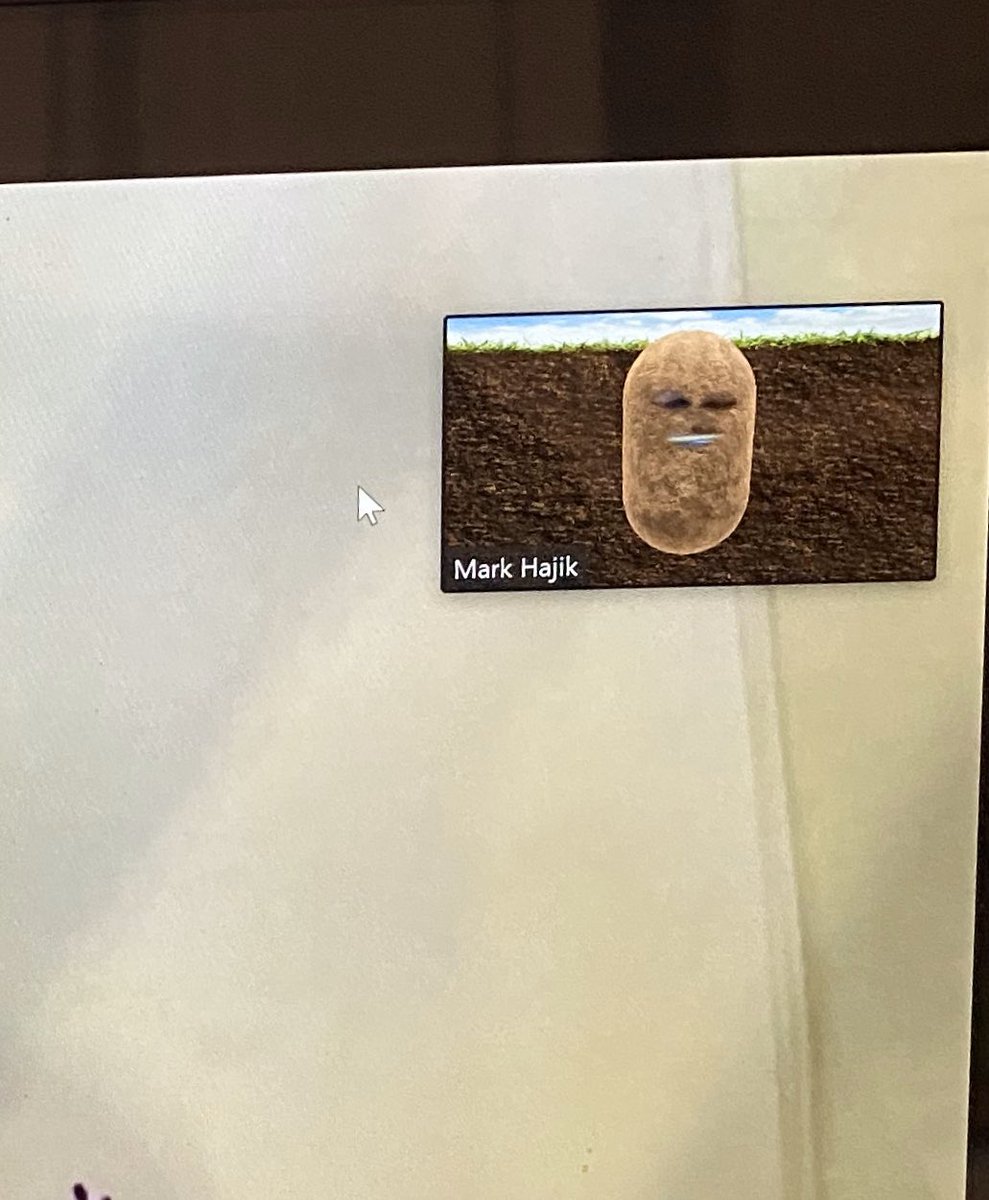 MrHajik's tweet photo. Today I showed up as a Potato in my Zoom meeting with my Algebra 2 students, sadly they were not as amused as I was!! #eLearningMadeFun #MondayMotivation #INeedToKeepMyselfEntertained https://t.co/torOsR1iq0