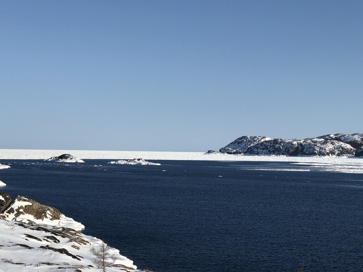 MelitaPaul's tweet photo. The Atlantic Ocean is always beautiful but even more in winter! The blue and white is so majestic! #Alantic #LabradorBeauty #SelfDistancing https://t.co/orD8v1d7jn