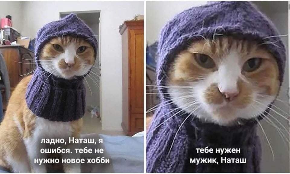 bugaga.ru on Twitter: "Наташ, я тоже иногда ошибаюсь! #кот #приколы  #женщины #отношения #хобби https://t.co/zbKt9nqTPG" / Twitter