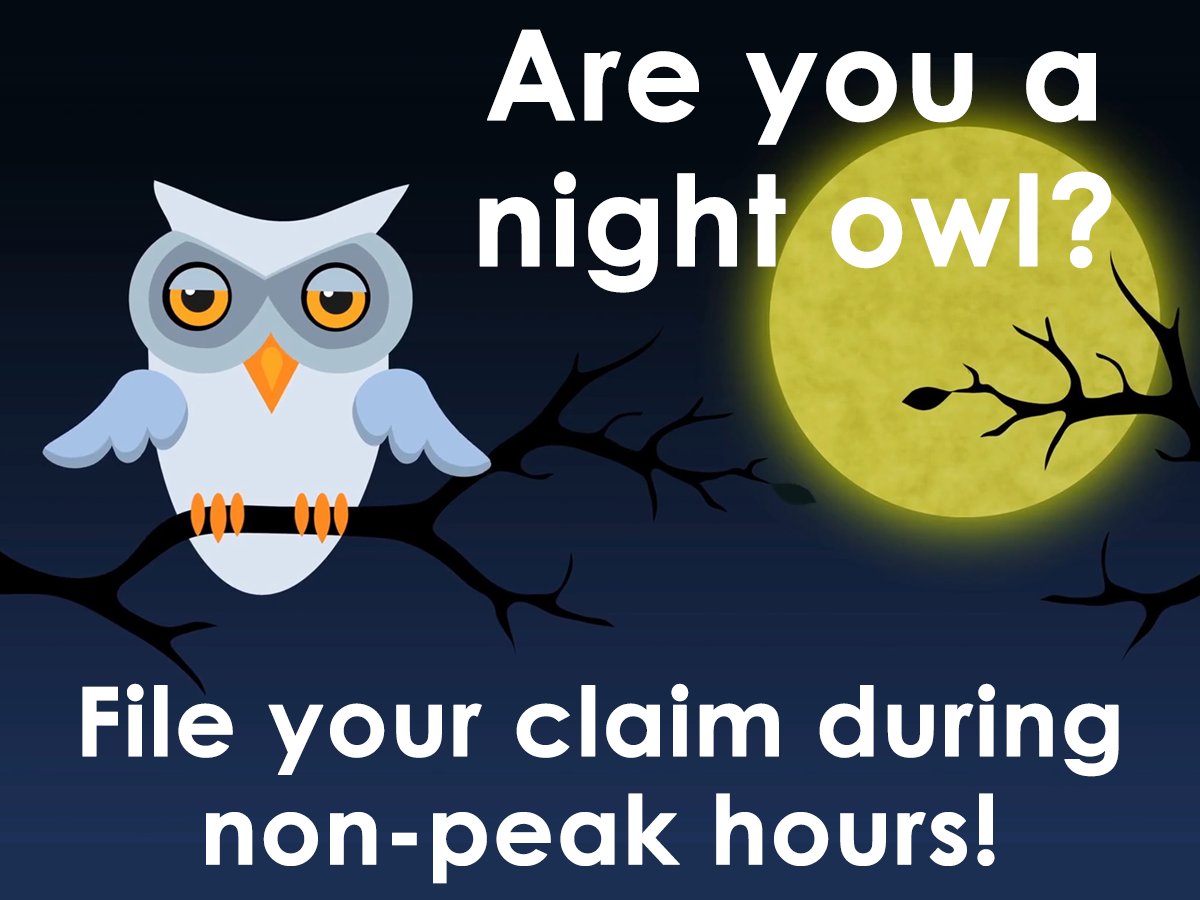 If you're a night owl, log onto Jobs4TN.gov during the non-peak hours between 7 p.m. and 7 a.m. CT. Switching to those later hours helps everyone "hoo" needs to access the unemployment system.