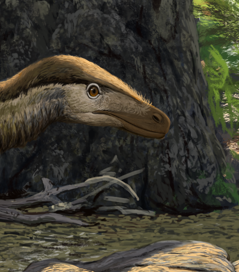 AttwellLucas's tweet photo. Velociraptor WIP
#wip #digitalart #paleoart #dinosaur #velociraptor https://t.co/rzKn6VNle3