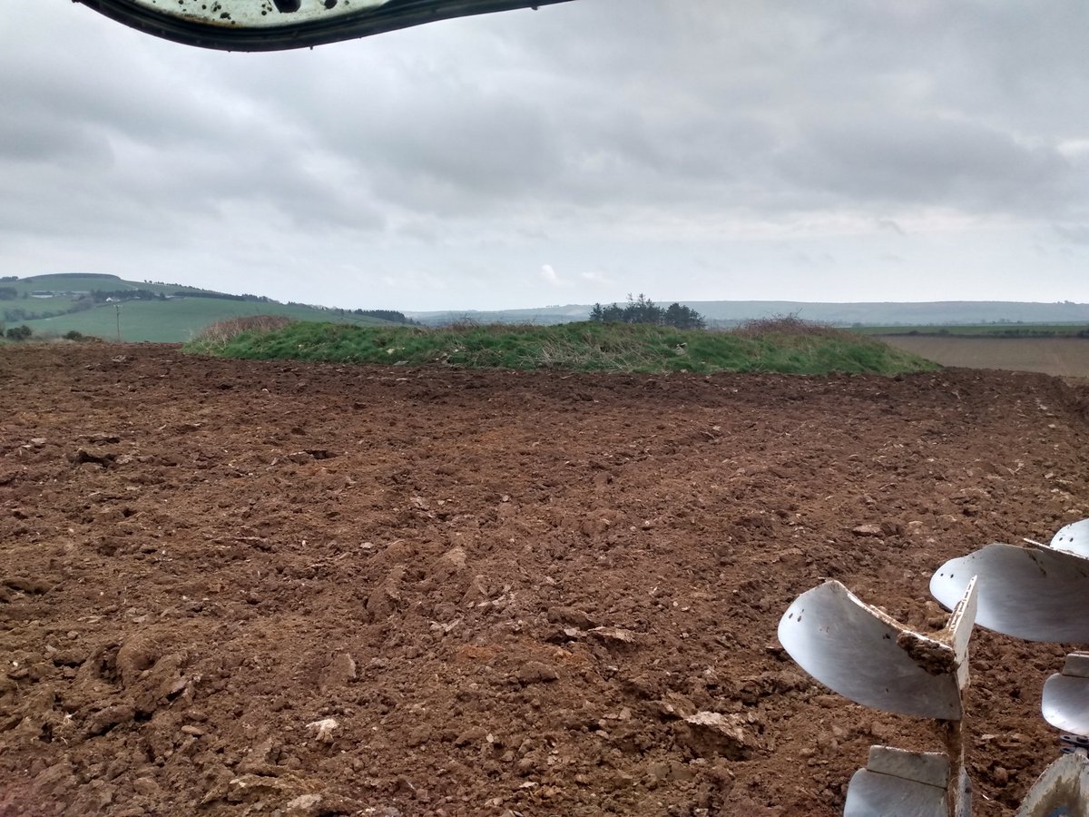 ClonakiltyBeef's tweet image. One of our 2 ringforts, 10 of them within a mile, along with a burial mound, a horizontal mill and an iron-smelting site. So Ahaliskey was always a popular spot! 1500 years if farming is amazing when you think of it. #clonakiltybeef #ringforts #heritage