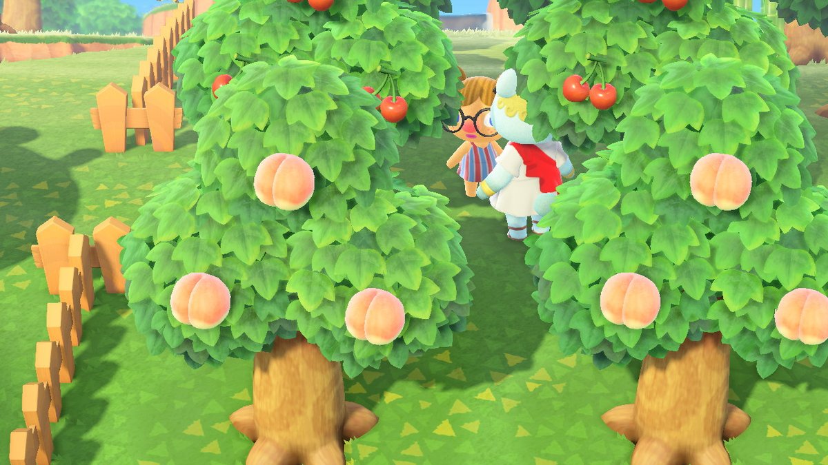 crossingkyu's tweet photo. #AnimalCrossing #ACNH #NintendoSwitch a weirdly romantic atmosphere https://t.co/lfSgfaBcxL