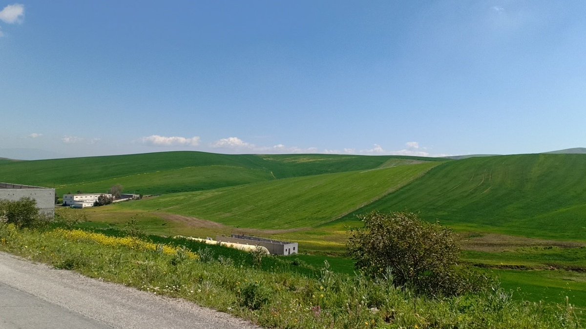 🌲🌳🌴🌱🌿⁦☘️⁩🍀🌄🌄🌄🌿⁦☘️⁩🌹
لا#تدخل #حياة من لا يحتاجك👎 
ولا #تفرض #ذاتك على من يرفضك👎
فمن ارادك سيفعل #المستحيل ليكسب قلبك💛❤️💛